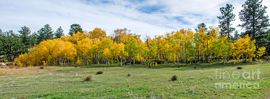 Fall Photograph - Colorado Fall Panorama by Baywest Imaging