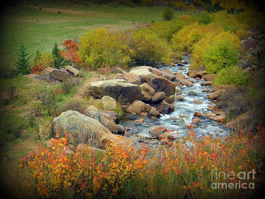 Colorado Fall Stream 2 Photograph by Michelle Frizzell-Thompson