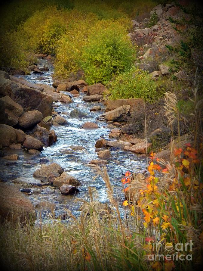 Colorado Fall Stream Photograph by Michelle Frizzell-Thompson