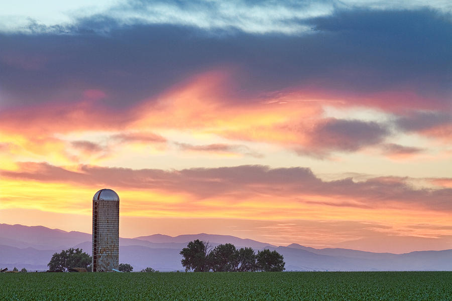 Colorado Farmers Sunset Photograph by James BO Insogna