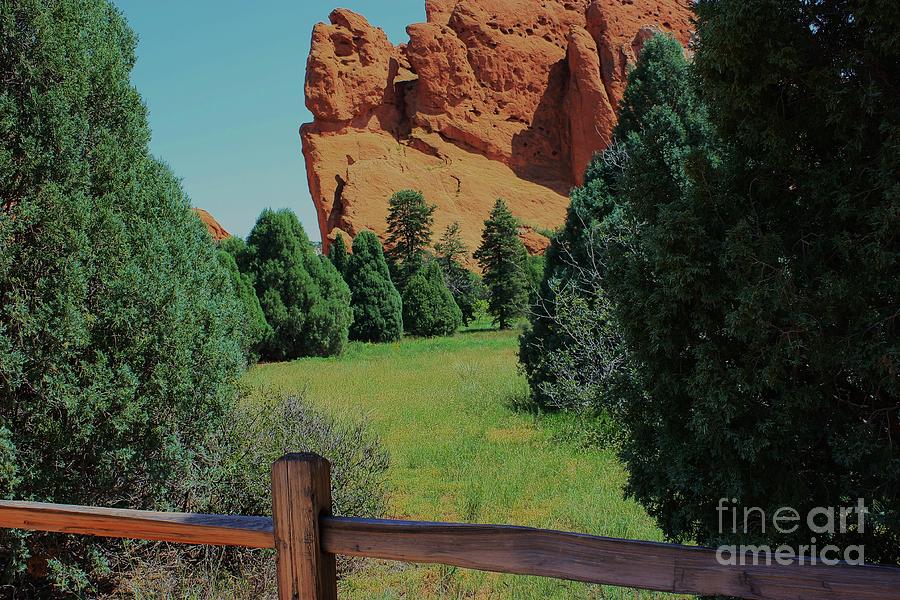 Tree Photograph - Colorado Garden of the Gods from the Trail by Robert D  Brozek