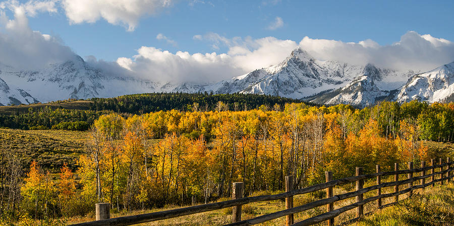 Mountain Photograph - Colorado Gold - Dallas Divide by Aaron Spong