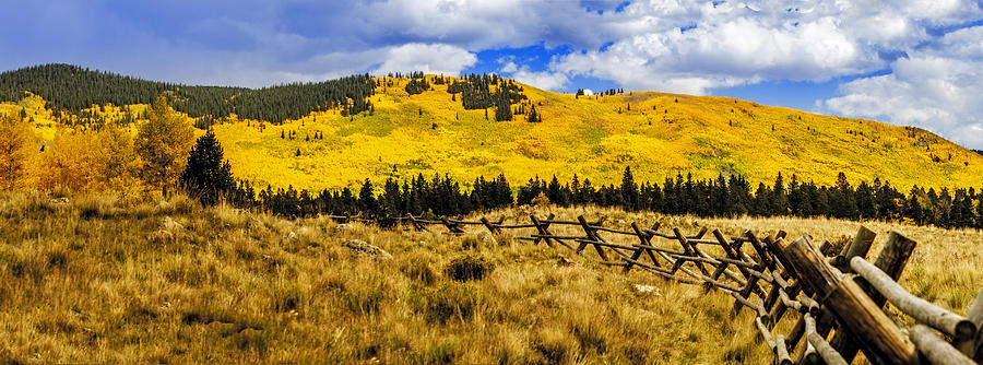 Colorado Gold Photograph by Teri Virbickis - Fine Art America