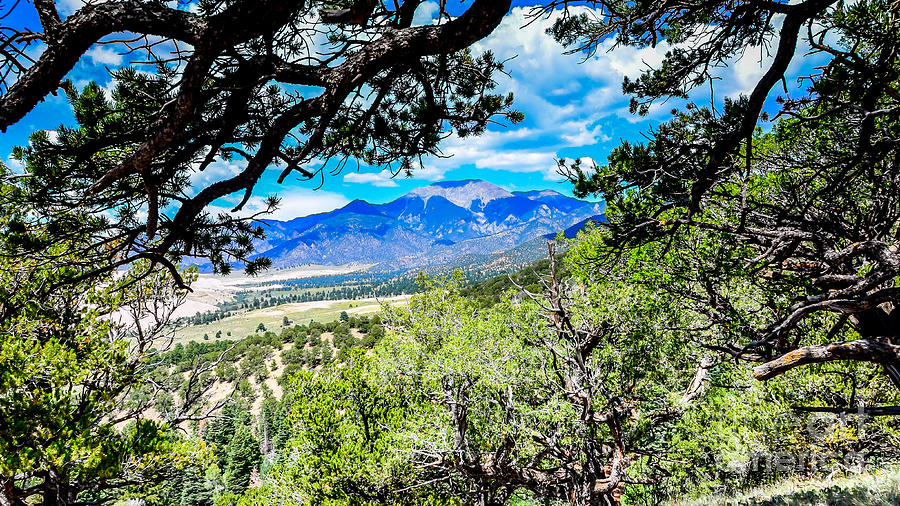 Colorado Hiking View Photograph by Debra Martz