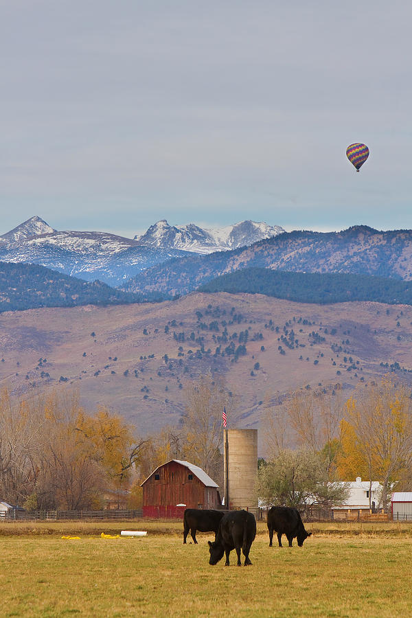 Colorado Hot Air Ballooning Photograph by James BO Insogna