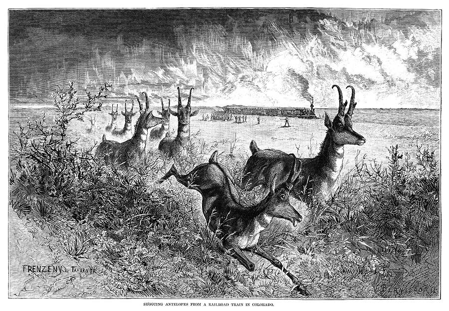 Colorado Hunting, 1875 Drawing by Granger Fine Art America