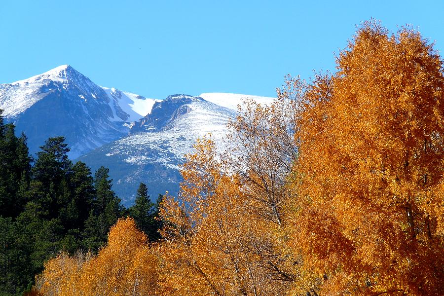 Colorado Mountains in Autumn Photograph by Marilyn Burton