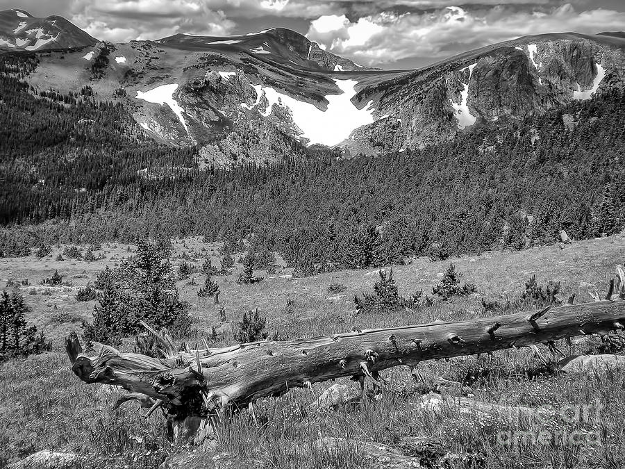 Colorado Mountains Photograph by Paul Quinn