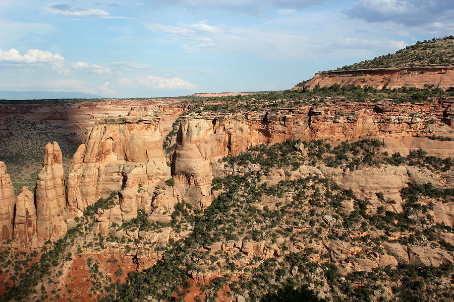 Colorado National Monument 12 Photograph by Mary Bedy
