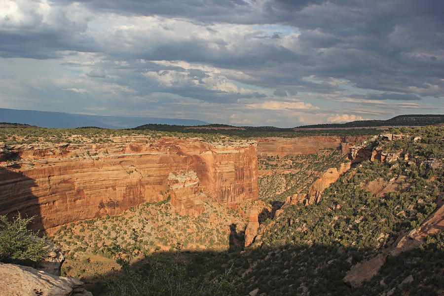 Colorado National Monument 17 Photograph by Mary Bedy
