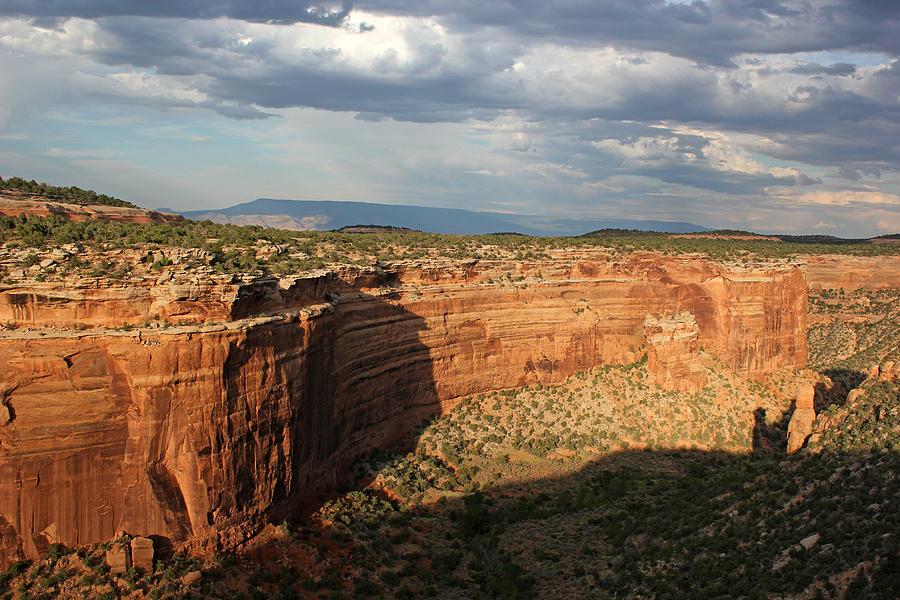 Colorado National Monument 19 Photograph by Mary Bedy