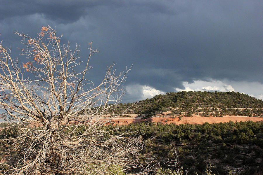 Colorado National Monument 20 Photograph by Mary Bedy