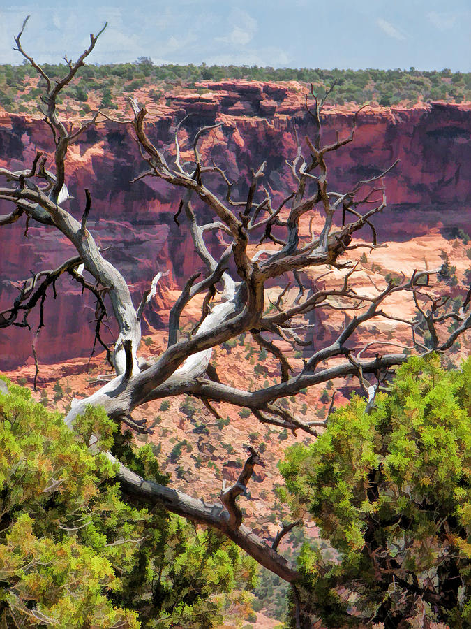 Colorado National Monument Dead Branches Painting by Christopher Arndt