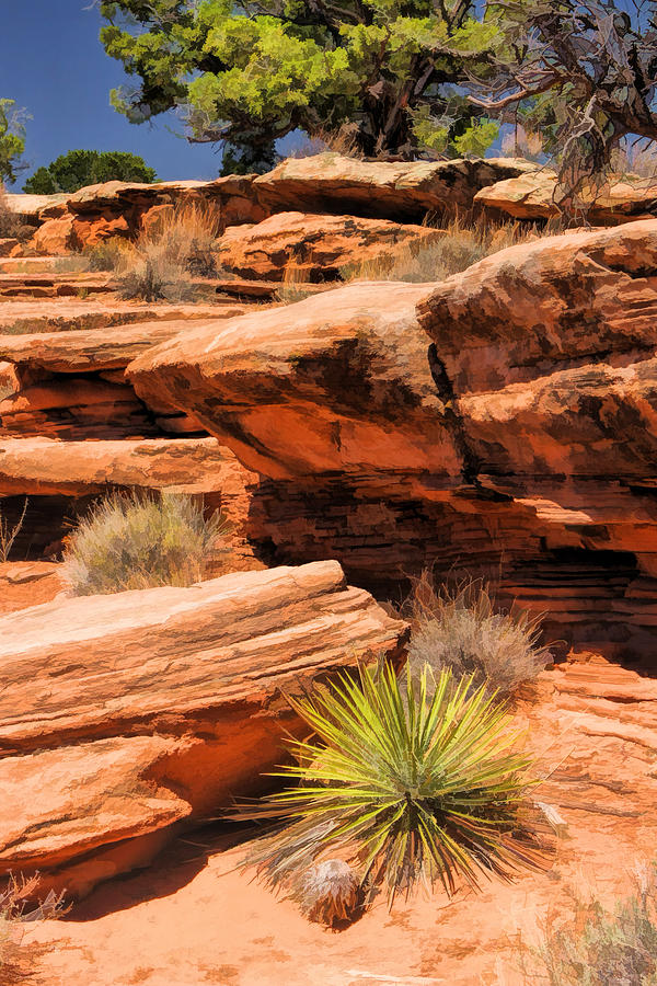 Colorado National Monument Desert Flora Painting by Christopher Arndt