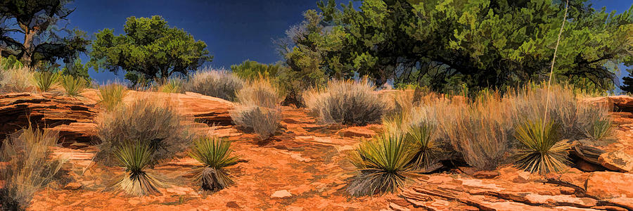 Colorado National Monument Desert Flora Panorama Painting by Christopher Arndt