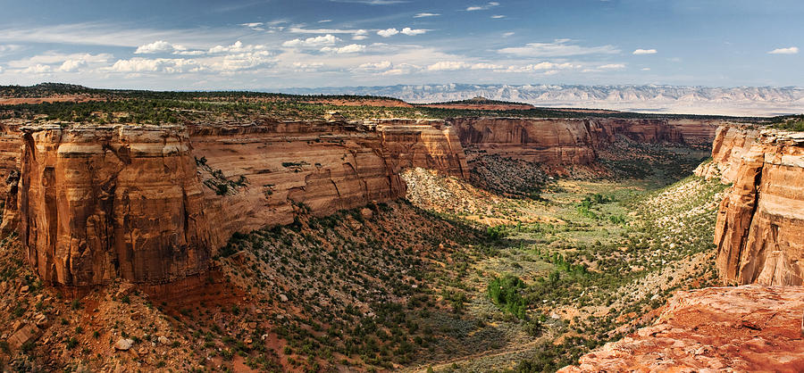 Colorado National Monument Pano Photograph by Ronda Kimbrow