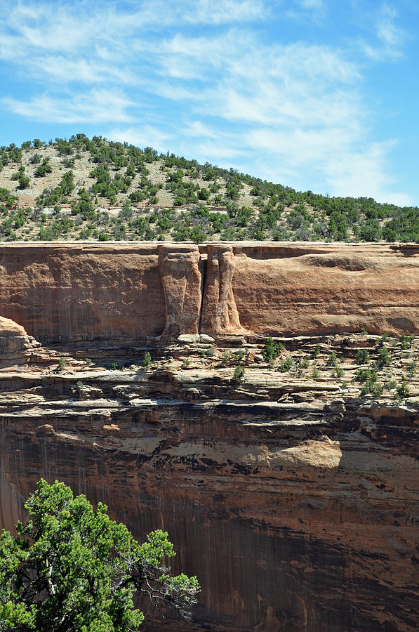 Colorado National Monument Pillars and Canyon Photograph by Bruce Gourley