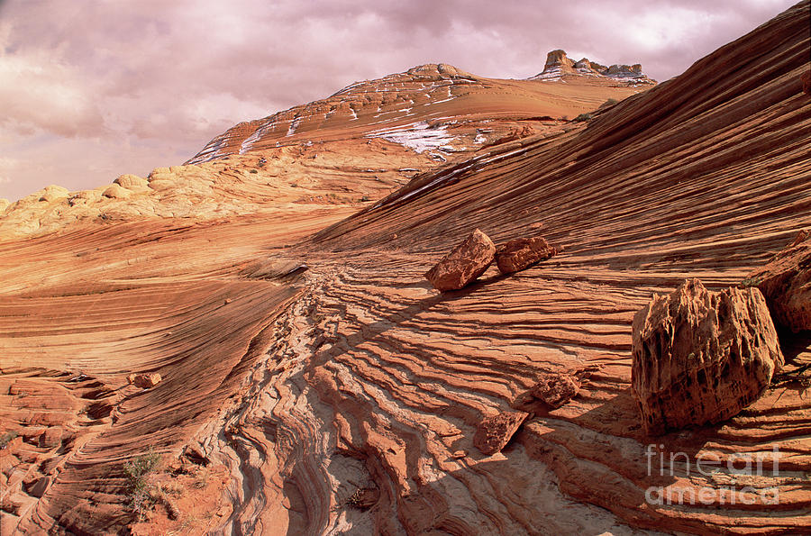Colorado Plateau Sandstone Arizona Photograph by Yva Momatiuk and John Eastcott