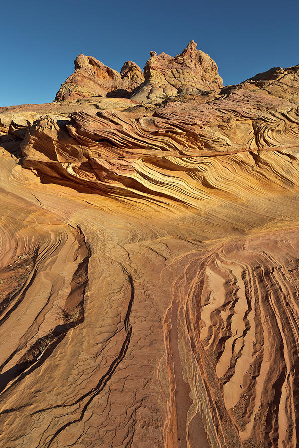 Colorado Plateau Sandstone Utah Photograph by Yva Momatiuk John Eastcott