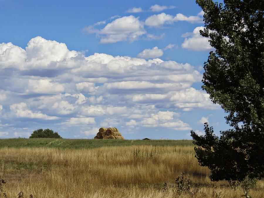 Summer Photograph - Colorado Prairie by Emily Hargreaves