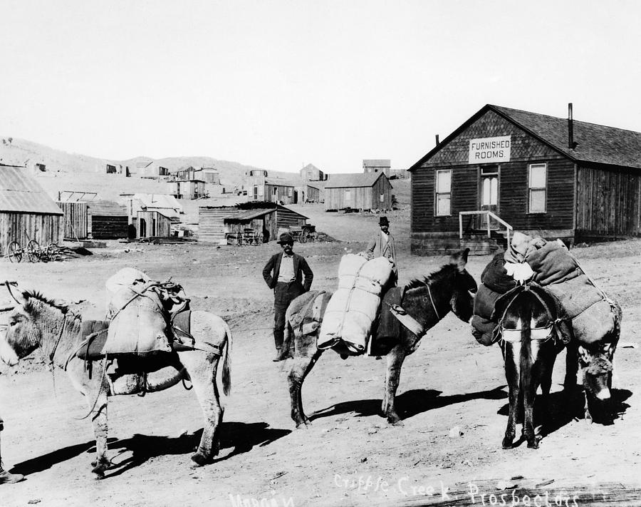 Colorado Prospectors Photograph by Granger