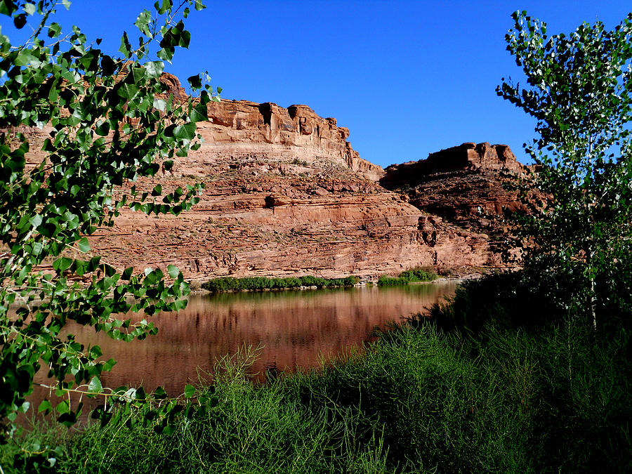 Colorado River at Moab Photograph by Marty Fancy