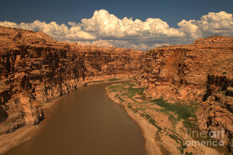 Colorado River Canyon Photograph by Adam Jewell