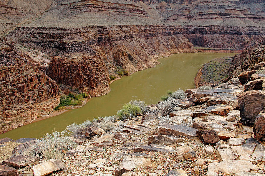 Colorado River Grand Canyon Photograph by Debbie Oppermann