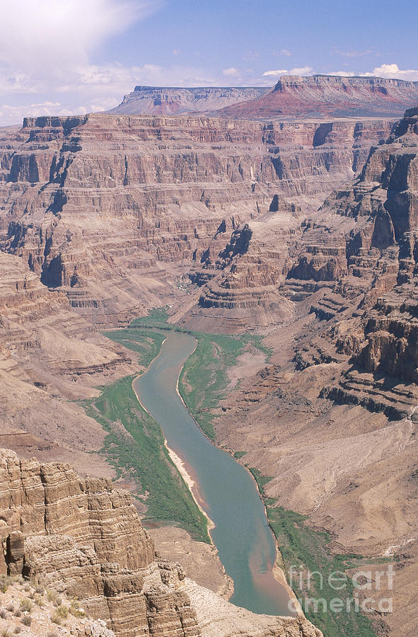Colorado River, Grand Canyon Photograph by Mark Newman