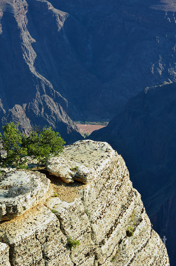 Grand Canyon National Park Photograph - Colorado River South Rim Cliff Overlook Grand Canyon National Park Vertical by Shawn OBrien