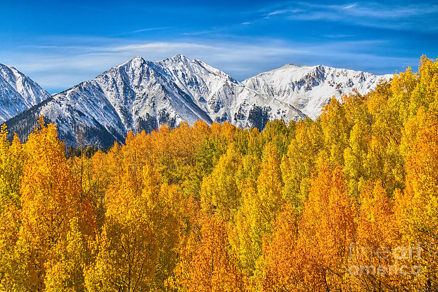 Colorado Rocky Mountain Autumn Beauty Photograph