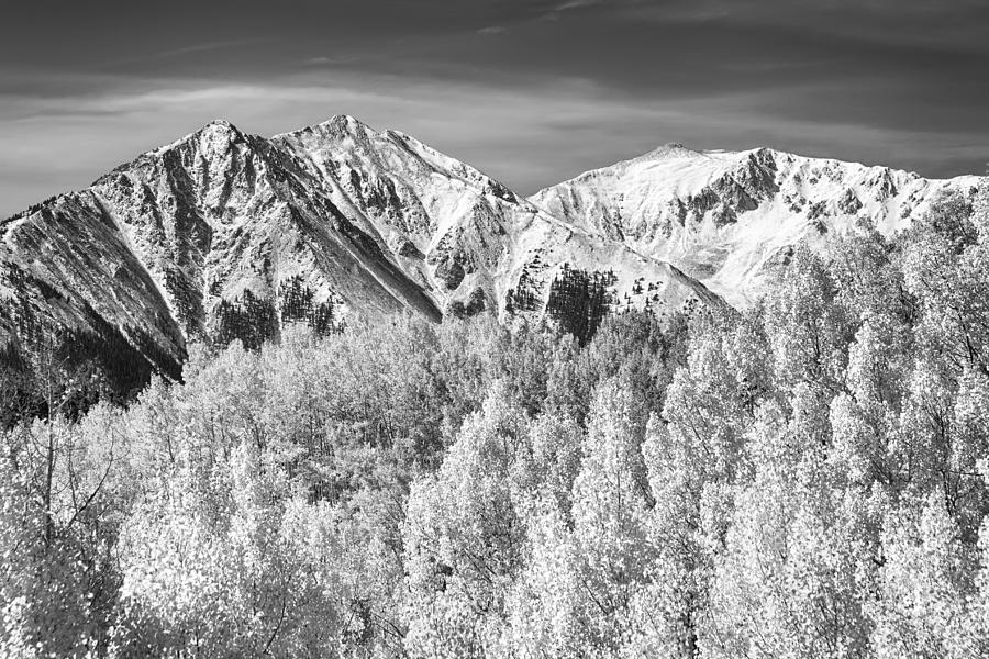 Colorado Rocky Mountain Autumn Magic Black and White Photograph by James BO Insogna