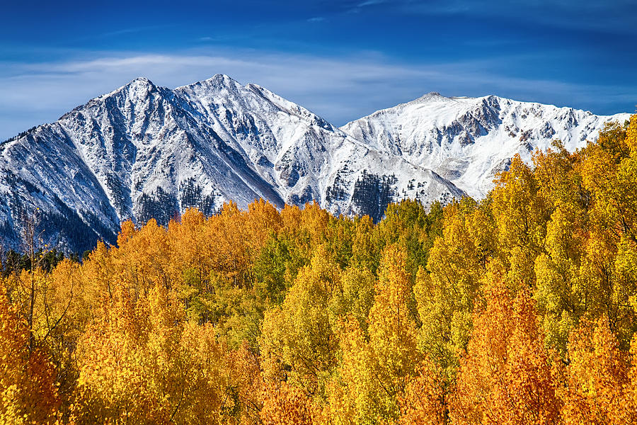 Colorado Rocky Mountain Autumn Magic Photograph by James BO Insogna