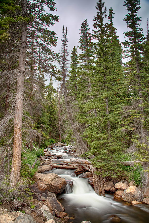 Colorado Rocky Mountain Flowing Stream Photograph by James BO Insogna