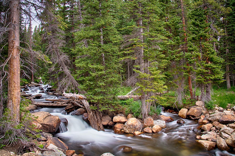 Colorado Rocky Mountain Forest Stream Photograph by James BO Insogna