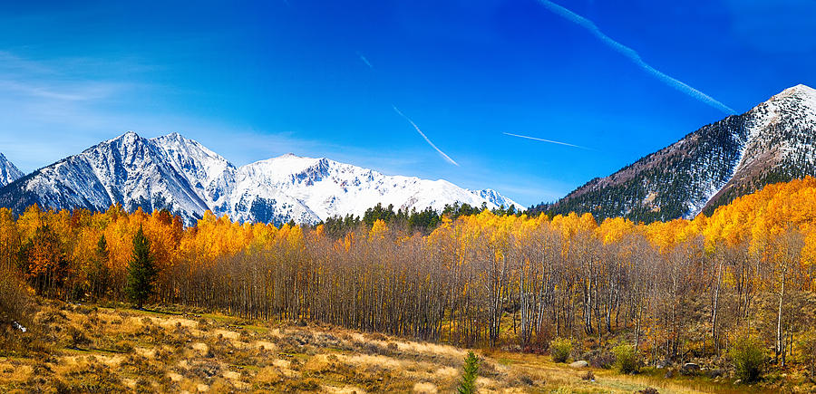 Colorado Rocky Mountain Independence Pass Autumn Pano 1 Photograph by James BO Insogna