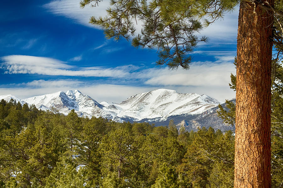 Colorado Rocky Mountain View Photograph by James BO Insogna