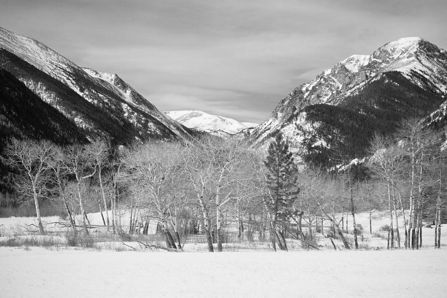 Colorado Rocky Mountain Winter Horseshoe Park BW Photograph by James BO Insogna