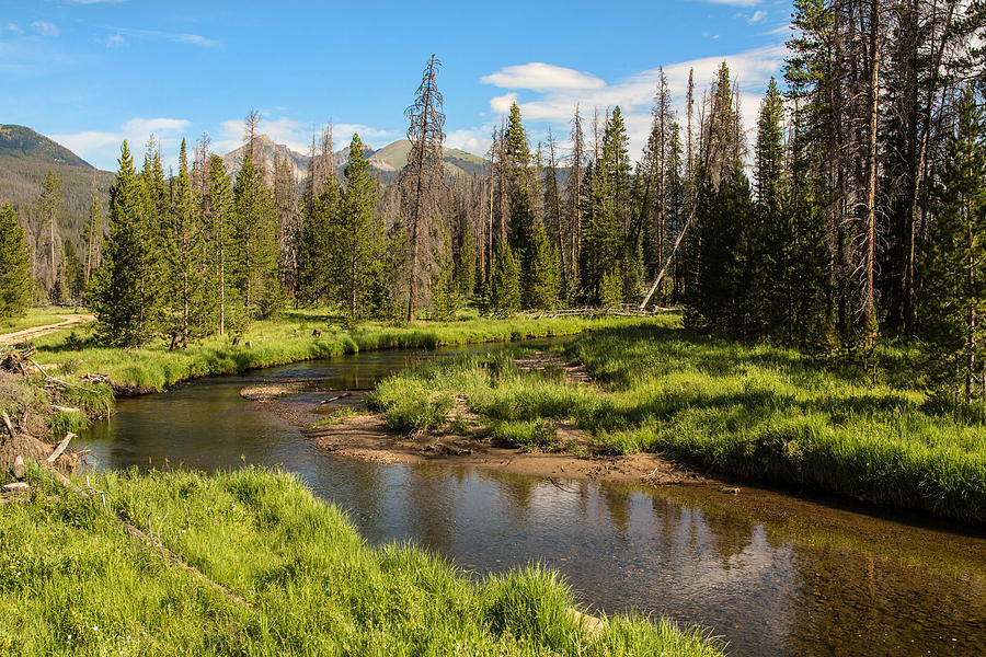 Colorado Scenic Photograph by Carol Mellema Fine Art America