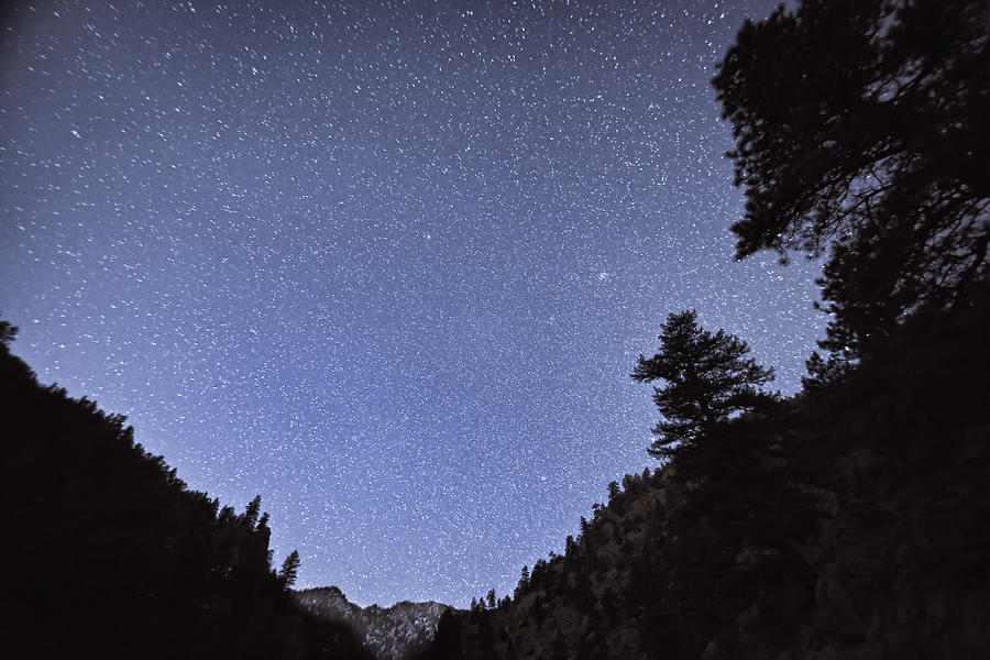 Colorado Stargazing Photograph by James BO Insogna