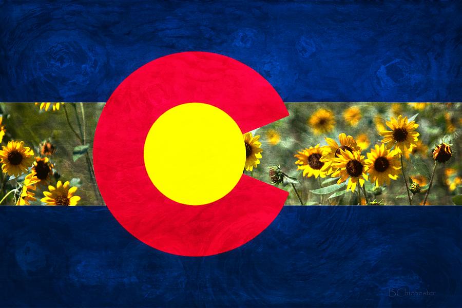 Colorado State Flag In Van Gogh Photograph by Barbara Chichester