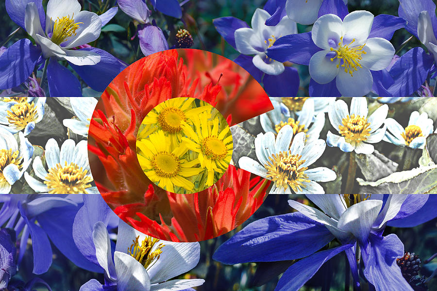Colorado State Flag with Wildflower Textures Photograph by Aaron Spong