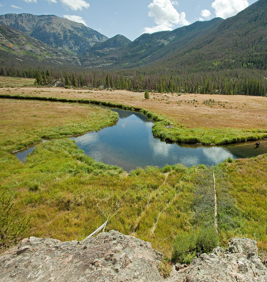 Colorado Stream and Meadow with Moose Photograph by Natural Focal Point Photography