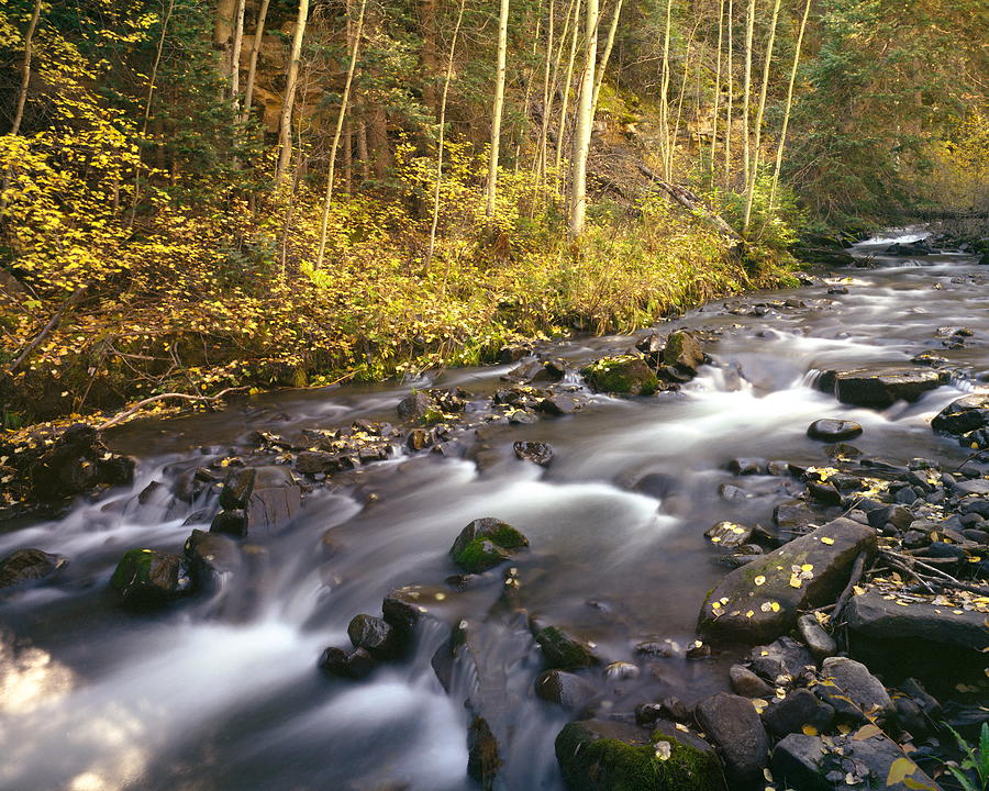 Colorado Stream - Fall Photograph by Harold Rau
