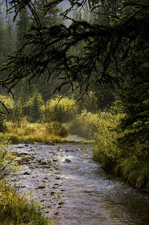 Colorado Stream Photograph by Kristal Kraft