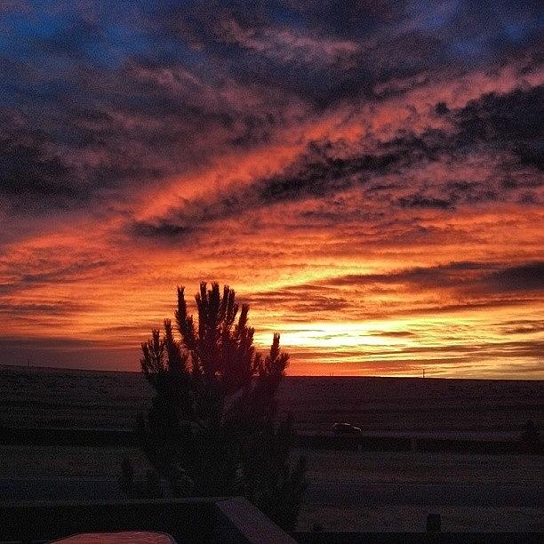 Colorado Sunrise Photograph by Caitlin  DiFiore