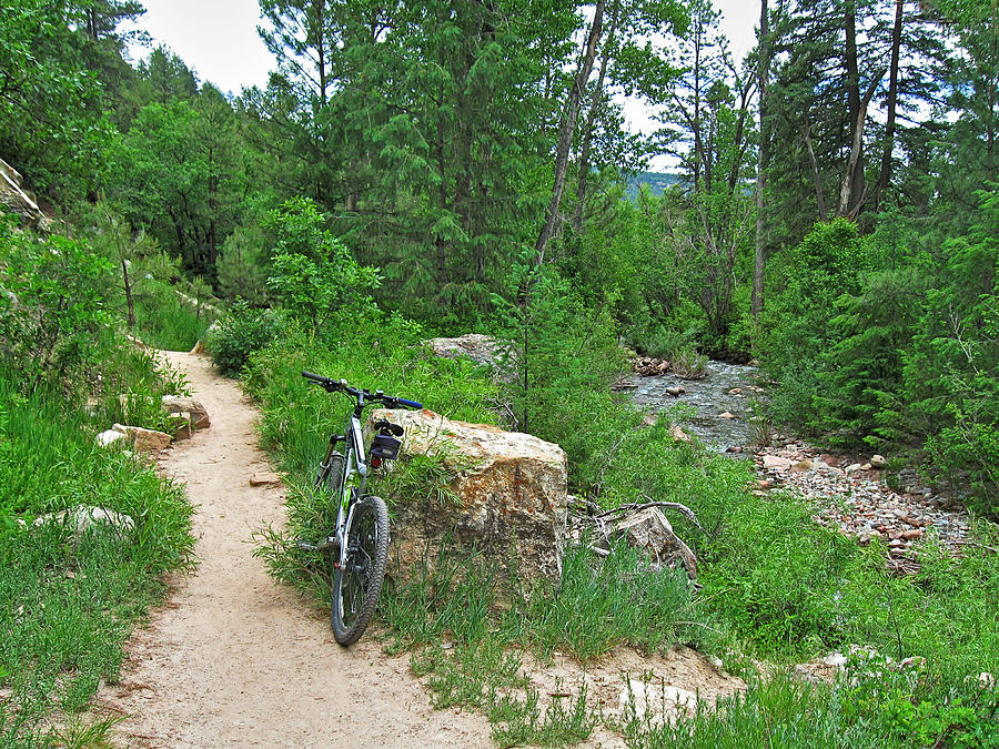 Bicycle Photograph - Colorado Trail by Tom Winfield