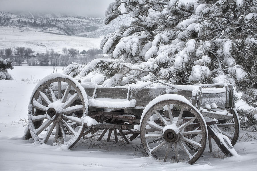 Colorado Wagon Photograph