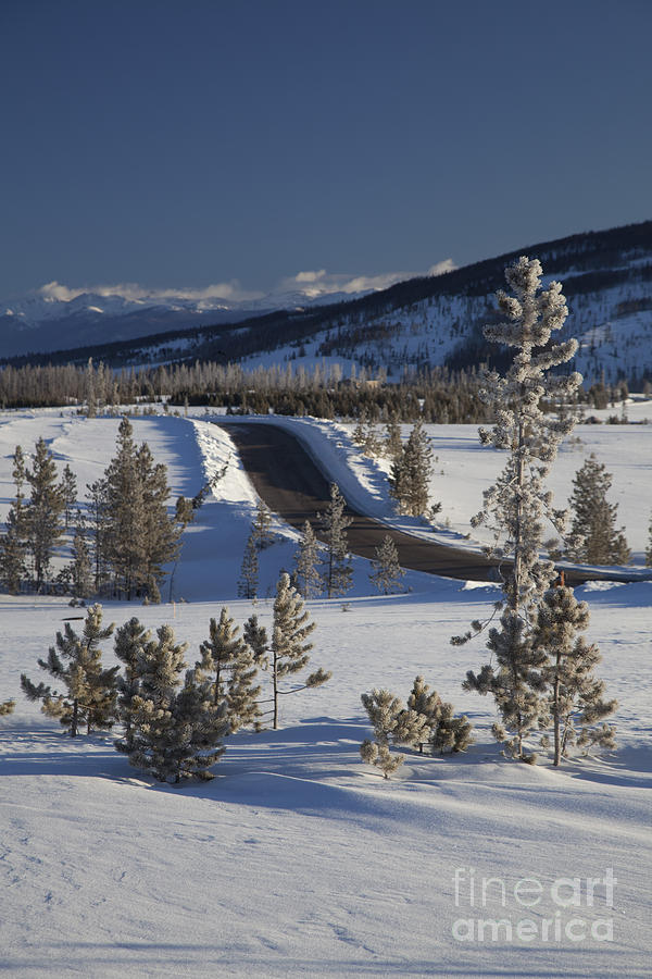Colorado Winter Photograph by Jim West