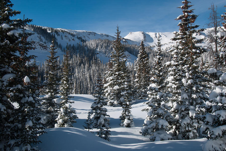 Colorado Winter Landscape Photograph by Cascade Colors